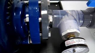 Solids Handling Video Flowserve Innomag Pump [upl. by Lidaa]