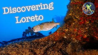 Loreto a hidden gem BCS 4K  Mexico [upl. by Velick377]