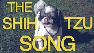 The Shih Tzu Song [upl. by Douville474]