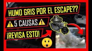 😱5 Causas Del HUMO GRIS Por El ESCAPE 👉 MIRA LO QUE PASA En Tu Carro⚠️ [upl. by Maharva908]