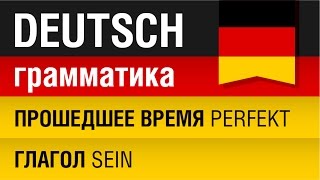 Прошедшее время Perfekt Глагол Sein Немецкий язык для начинающих Урок 1031 Елена Шипилова [upl. by Cai648]