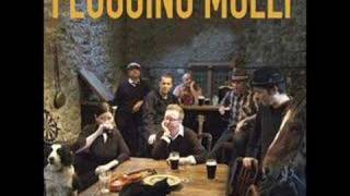 Paddys Lament  Flogging Molly [upl. by Keithley]