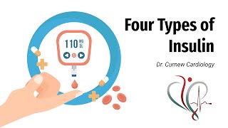 The Different Types of Insulin  Dr Curnew MD [upl. by Yob556]