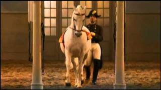 The Spanish Riding School of Vienna Part 22 [upl. by Elissa]