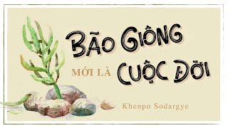 Sách nói Bão Giông Mới Là Cuộc Đời  Chương 1  Khenpo Sodargye [upl. by Hughes]