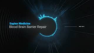 Blood Brain Barrier Repair [upl. by Roye374]