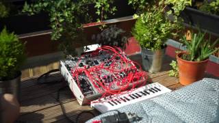 Modular Meditation Generative chimes with Mutable Instruments Rings [upl. by Filmore]