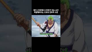 칼이 2자루에서 3자루가 되는 순간 폭발해버리는 조로의 전투력 수준 원피스 [upl. by Aileme]