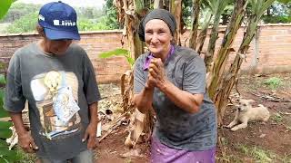 Dona cida trabalhando na chácara do vizinho [upl. by Den]