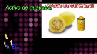 La mona de guayaba canción con letra [upl. by Alrak]