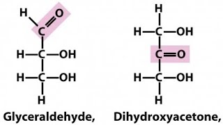 Trioses  Glyceraldehyde and Dihydroxy acetone  Monosaccharides [upl. by Netsirc]