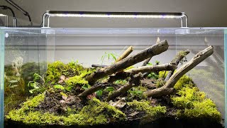 HOW TO MAKE TERRARIUM FOR GIANT AFRICAN MILLIPEDE’S 2 [upl. by Cassandre726]