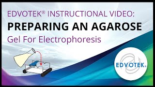 Preparing an Agarose Gel For Electrophoresis  Edvotek Video Tutorial [upl. by Enaols855]