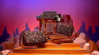 Etro X Kung Fu Panda capsule collection [upl. by Bahe]