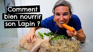 Comment bien nourrir son Lapin  🐰 [upl. by Llenart]