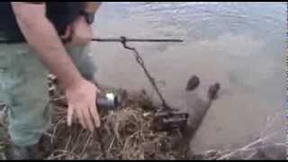 How to trap amp catch beaver fast and simple with foothold trap [upl. by Gena]