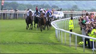 Camelot  Epsom Derby Gr1 [upl. by Naloj869]