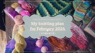 毎月１枚のショール編み物計画🌻Knitting plans for Feb2024｜フクロウのかまど [upl. by Castle]