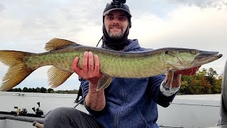 Muskies  Early October [upl. by Aveline]