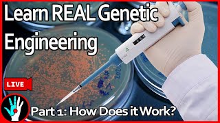 LIVE Learn Genetic Engineering  Part 1 How does it work [upl. by Ecyar]