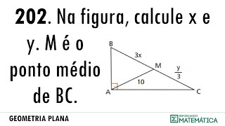 C06 PERPENDICULARIDADE 202 [upl. by Zimmermann]