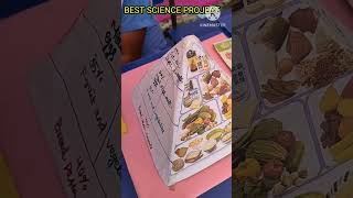 Food Science ProjectFood nutritional science projectScience TLMScience ModelBest science tlm [upl. by Adnohsirk]