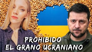 HUNGRÍA Y POLONIA PROHIBEN EL GRANO UCRANIANO Se suman Eslovaquia y Bulgaria ¿Qué ha pasado [upl. by Eilac901]