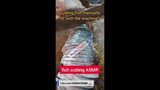 Fish cutting ASMR team Machine or manual [upl. by Paige]