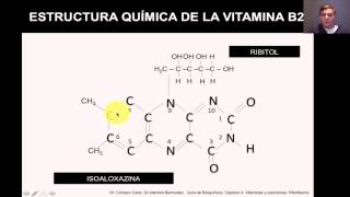 Vitaminas y Coenzimas La Riboflavina [upl. by Eiramanig]