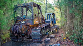 We RECOVERED A DOZER that was Stuck in WOODS 30 YEARS [upl. by Cate167]