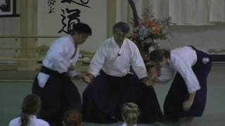 ikeda Aikido Summer Camp in the Rockies 2007 [upl. by Ott]