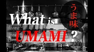 What is Umami [upl. by Evslin]