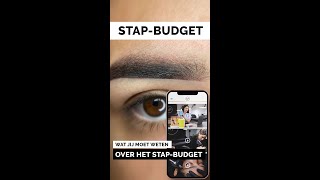 STAPbudget  4 voorwaarden van het STAPbudget [upl. by Gratia]