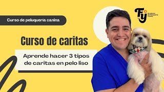 Curso de peluquería canina caritas [upl. by Arabrab437]