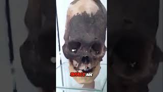 Are Paracas Skulls Proof of Ancient Alien Life [upl. by Diet299]