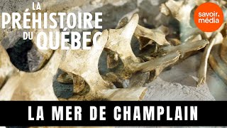 La mer de Champlain  La préhistoire du Québec [upl. by Ennayhc]