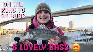 BASS amp FLOUNDER Fishing RIVER ITCHEN Live  Sea Fishing UK  River Fishing UK [upl. by Doner]