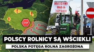 Rolnictwo w POLSCE ZAGROŻONE przez UKRAINĘ Jaka jest jego przyszłość [upl. by Philippine697]