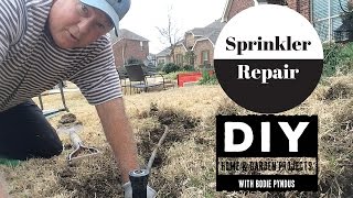 Sprinkler Head Repair Replacement [upl. by Blanka]