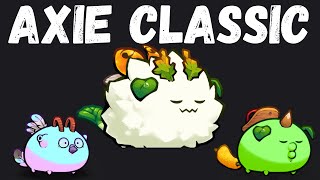 AXIE CLASSIC META 2024  DAWN PLANT PLANT [upl. by Giusto]