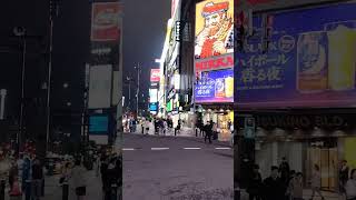 Susukino the busiest downtown in Hokkaido japan [upl. by Barcus]