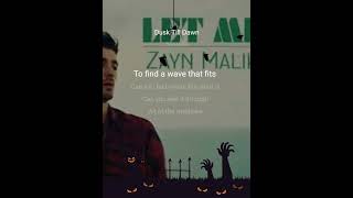 Dusk Till Dawn Karaoke Zayn Malik [upl. by Ainessey]