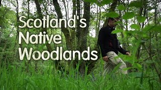 Scotlands Native Woodlands [upl. by Namar]