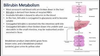 Gastrointestinal Physiology  Liver Function Lipoproteins Good and Bad Cholesterol and the Colon [upl. by Norri784]