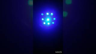 New rgb disco light [upl. by Cattan]