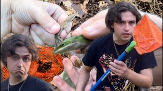 I found a pond infested with tadpoles frog tadpoles lizard animals youtube fyp [upl. by Anyrtak785]