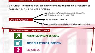 Orientació als Cicles Formatius [upl. by Chapel]