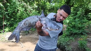 CRAZY catfish catch and cook MUST SEE [upl. by Indihar]