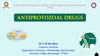 ANTIPROTOZOAL DRUGS INTRODUCTION BY DR N B SHRIDHAR 1372021 [upl. by Hurwitz]