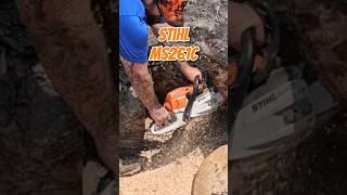 STIHL 261C Pro Chainsaw in Huge Maple How Will it Perform [upl. by Leunad]